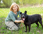 Собаки в Москве: Килиманджаро, маленький пёсик из приюта Мальчик, Бесплатно - фото 2