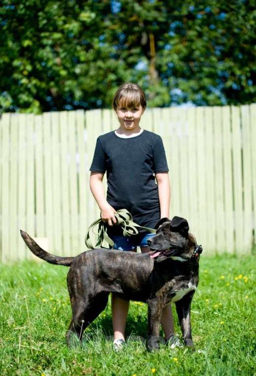 Собаки в Москве: Грозная с наружи, добрая внутри Девочка, Бесплатно - фото 6