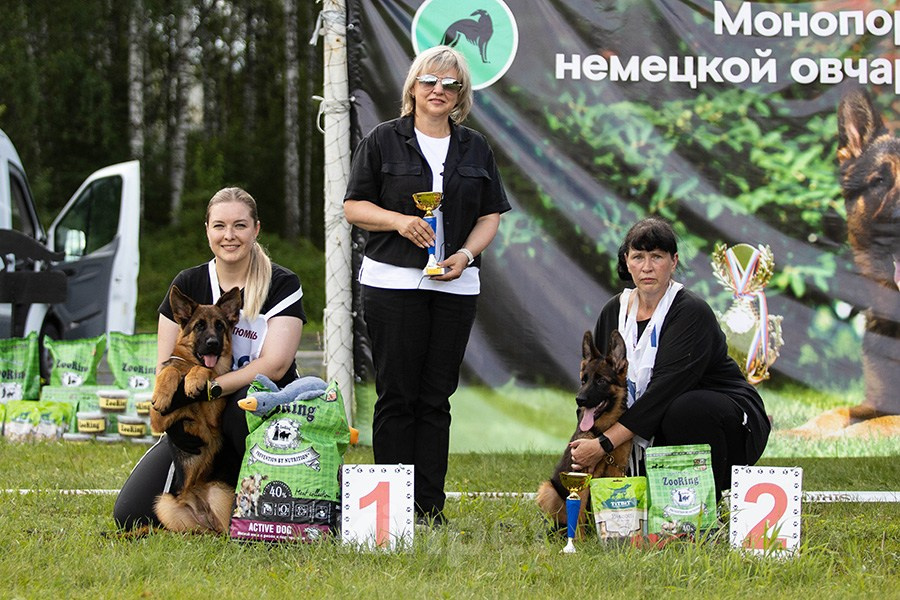 Собаки в Челябинске: Немецкая овчарка Девочка, 80 000 руб. - фото 4