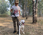 Собаки в Москве: Чудесная Майя в поисках дома Девочка, 1 руб. - фото 3