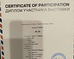 Кошки в Валдае: Шотландские котята- победители выставки Девочка, 30 000 руб. - фото 5