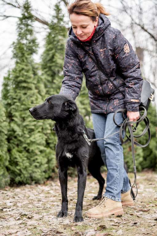 Собаки в Москве: Вальтер, умный парень из приюта Мальчик, Бесплатно - фото 4