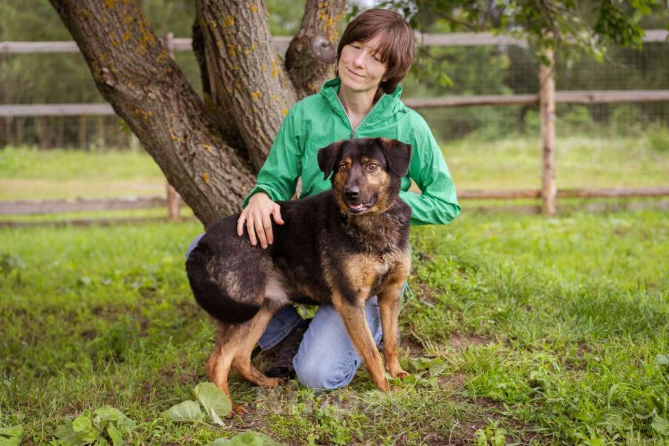 Собаки в Москве: Собака-компаньон Мальчик, Бесплатно - фото 2