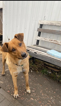 Подари надежду💔