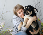 Собаки в Москве: Подросток Микка ждет свою семью Девочка, Бесплатно - фото 4