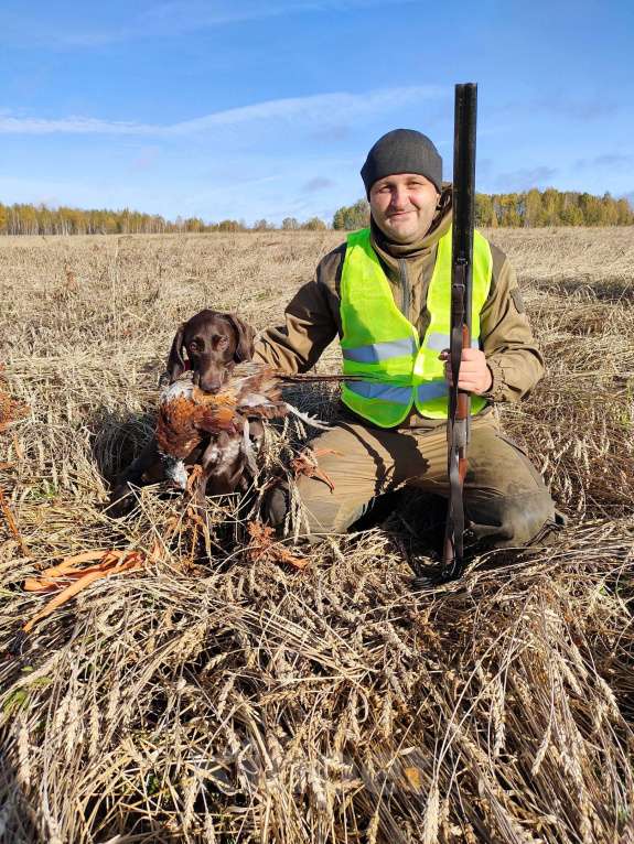 Собаки в Новосибирске: Щенок курцхаара Мальчик, 45 000 руб. - фото 7