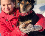 Собаки в Москве: Очаровательный песик мечтает найти самую любящую семью! Мальчик, 1 руб. - фото 1
