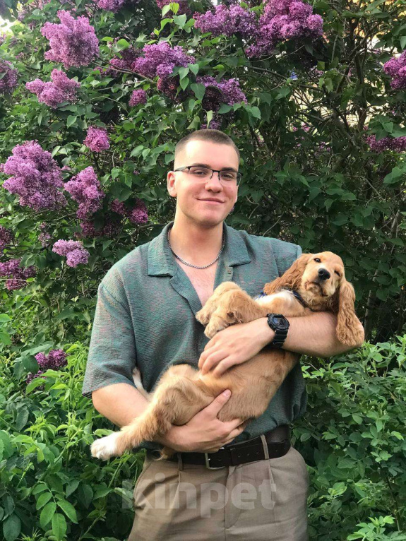 Собаки в Москве: Щенок английский кокер-спаниель ищет новый дом Девочка, 10 000 руб. - фото 8