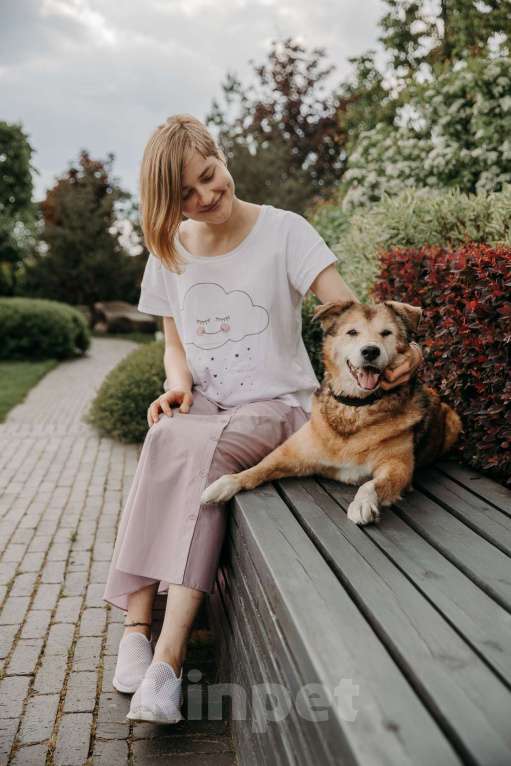 Собаки в Москве: Рейс Мальчик, Бесплатно - фото 2