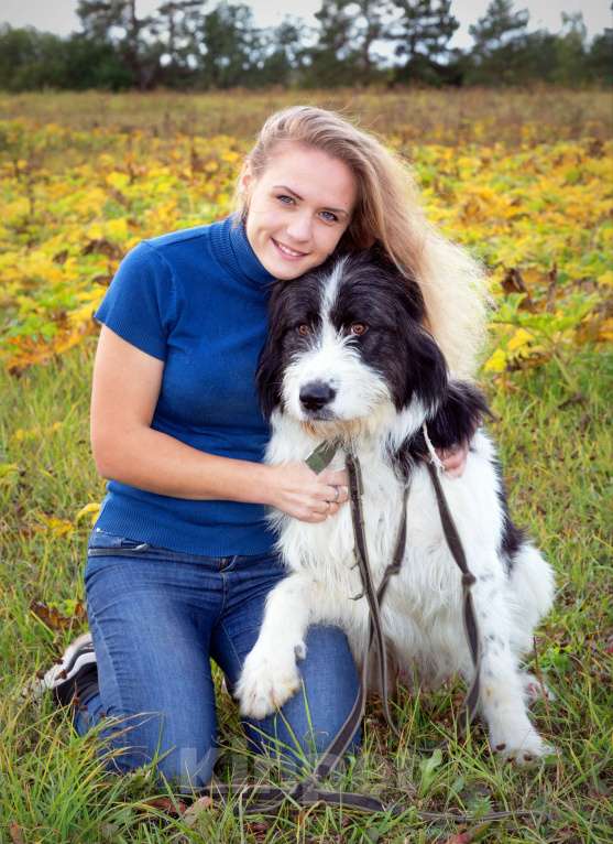 Собаки в Наро-Фоминске: Самый обаятельный и обнимательный: Гиджет Мальчик, Бесплатно - фото 1