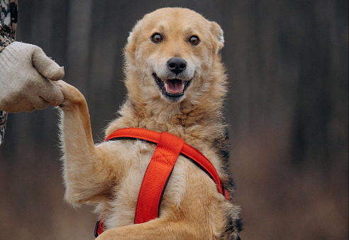 Девчонка-веселушка, позитив и искреннее счастье