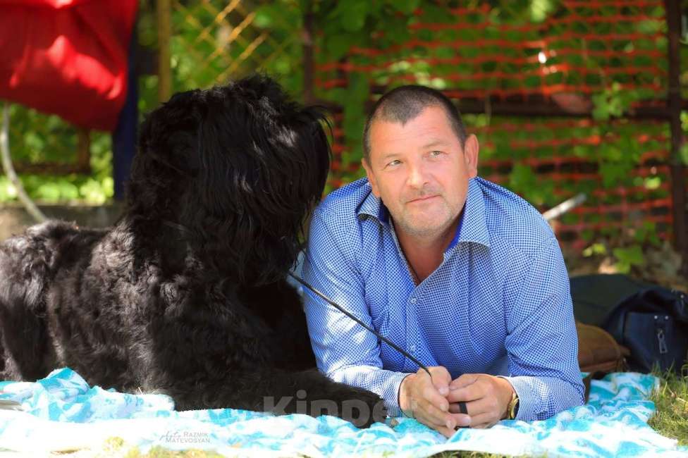 Собаки в Самаре: Русский Черный Терьер- это для души! Девочка, 50 000 руб. - фото 2