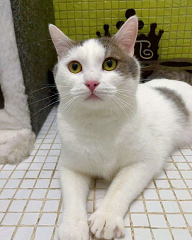 Елисея вернули после полгода жизни дома