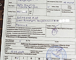 Собаки в Санкт-Петербурге: Мари Мистик Инфинити окрас шоколад чихуахуа Девочка, 80 000 руб. - фото 10