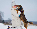 Собаки в Москве: Небольшая супер позитивная Шанти ищет дом! Девочка, Бесплатно - фото 3