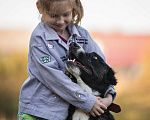 Собаки в Москве: Герда идеальная собака для семьи, в добрые руки! Девочка, 1 руб. - фото 7