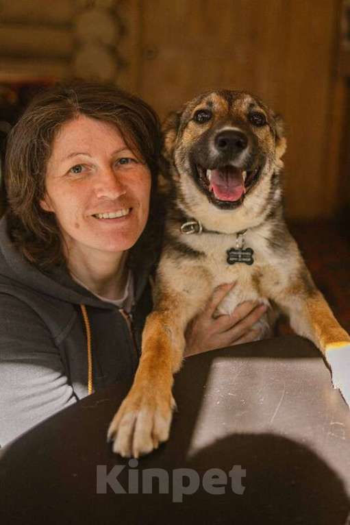 Собаки в Москве: Умница щенок Лапочка в добрые руки Девочка, Бесплатно - фото 2