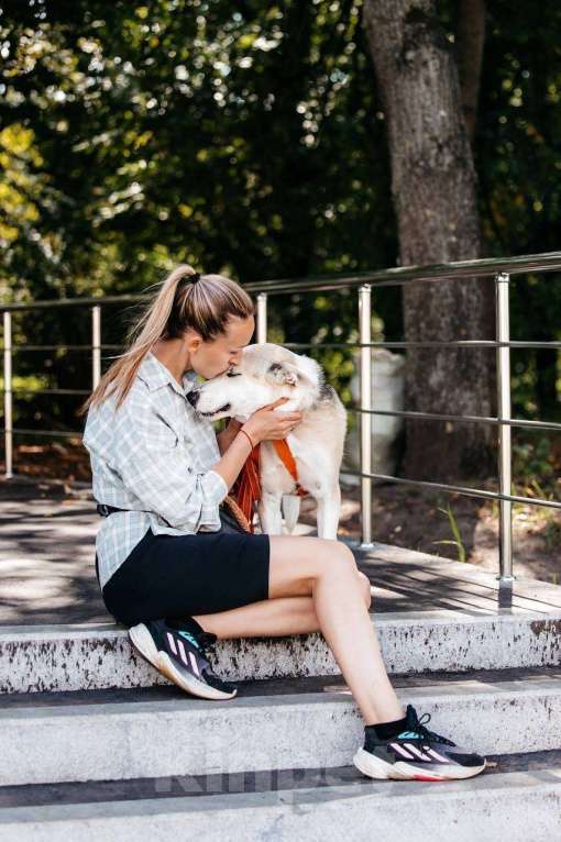 Собаки в Москве: Марко - мальчик, который смог 🧙 Мальчик, Бесплатно - фото 3