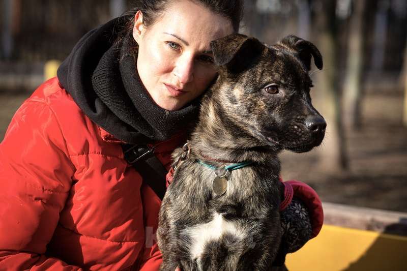 Собаки в Москве: Джессика ищет дом Девочка, 1 руб. - фото 3