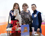 Кошки в Наро-Фоминске: невские маскарадные котята Мальчик, 50 000 руб. - фото 6