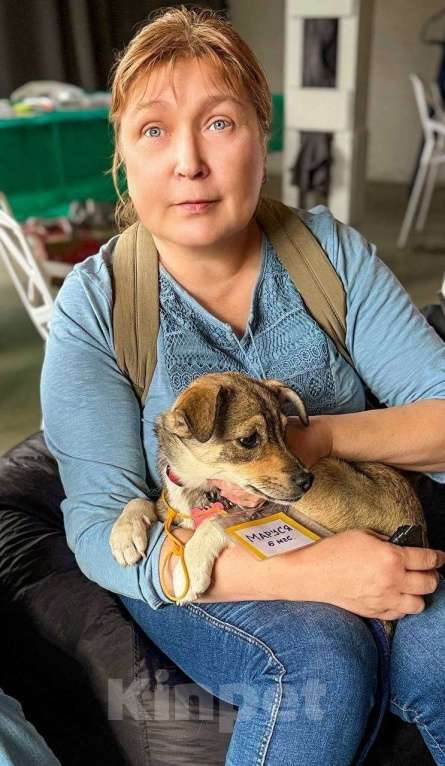 Собаки в Санкт-Петербурге: Собачка размером с кошечку ищет дом Девочка, Бесплатно - фото 5