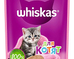 Кошки в Новокубанске: Продается Шотландский котенок, 4 000 руб. - фото 10