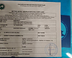 Собаки в Москве: Девочка добермана с документами РКФ Девочка, 60 000 руб. - фото 5