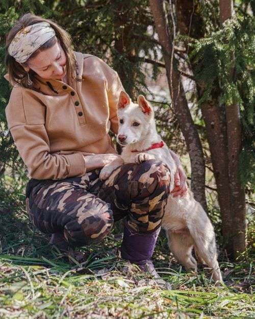Собаки в Москве: Бесподобный домашний щенок Пилот ищет дом Мальчик, Бесплатно - фото 3