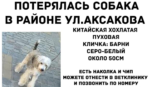 Объявление: Помогите найти члена семьи, 1 руб., Калининград