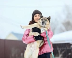 Собаки в Москве: Особенный пес в добрые руки Мальчик, Бесплатно - фото 1