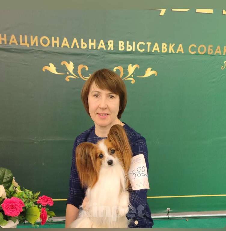 Собаки в Москве: Щенок 5 месяцев Мальчик, Бесплатно - фото 5