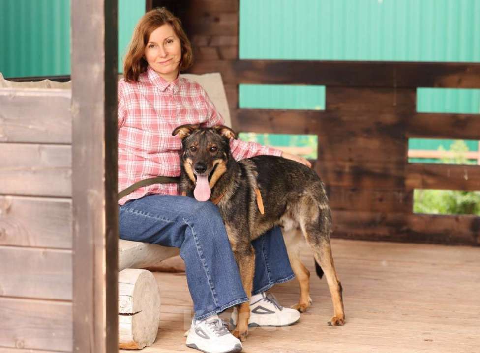 Собаки в Москве: Общительный и ласковый пёс Енисей в добрые руки Мальчик, 1 руб. - фото 1