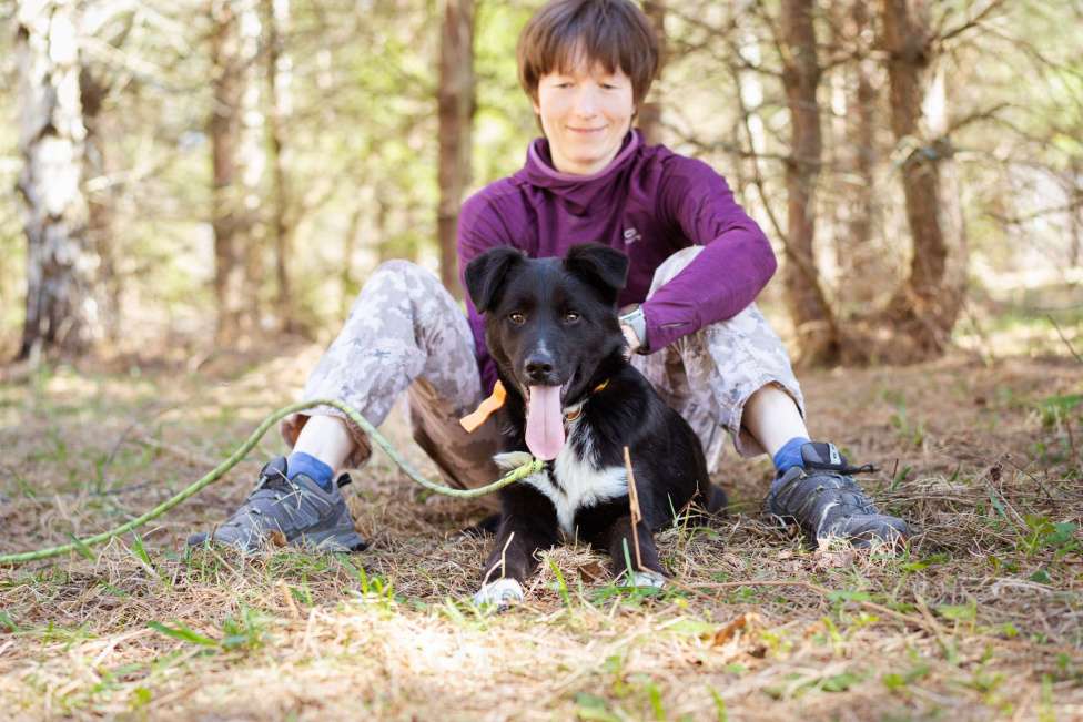 Собаки в Москве: Щенок Ларс Мальчик, Бесплатно - фото 4