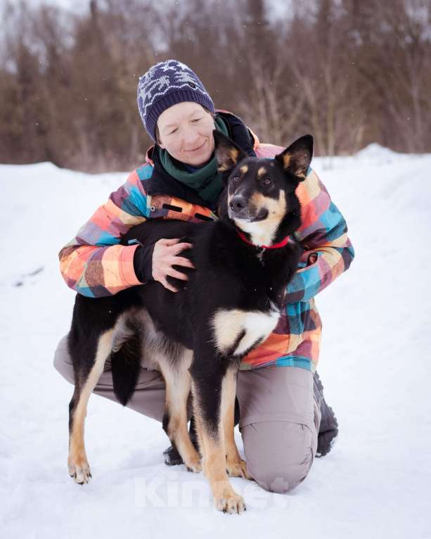 Собаки в Москве: Агата ищет свой дом Девочка, Бесплатно - фото 3