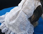 Собаки в Казани: Новое платье, 550 руб. - фото 1
