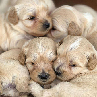 Мальчик мини