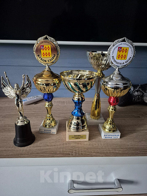 Собаки в Раменском: Щенки породы Эпаньоль Бретон от рабочих родителей Девочка, 50 000 руб. - фото 4