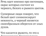 Кошки в других городах Краснодарского края: Разноцветный котëнок - счастье в дом Девочка, Бесплатно - фото 4