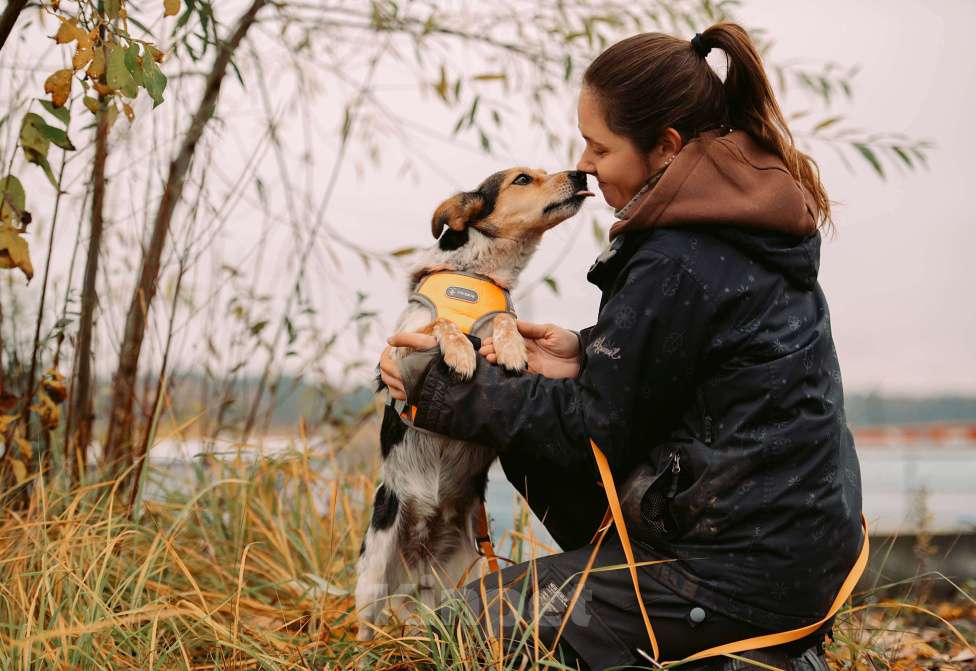 Собаки в Москве: Шарлотта Девочка, Бесплатно - фото 4