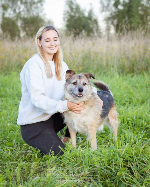 Собаки в Москве: Собака в поисках семьи! Мальчик, Бесплатно - фото 4