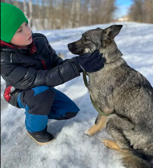 Собаки в Москве: Ляля Девочка, Бесплатно - фото 3