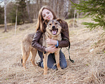 Собаки в Москве: Жизнерадостный пёс-компаньон Мальчик, Бесплатно - фото 2