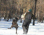 Собаки в Москве: Вязка кане корсо, Бесплатно - фото 4
