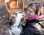 Собаки в Москве: Сия - миниатюрная девочка с глазами из разных миров Девочка, Бесплатно - фото 9