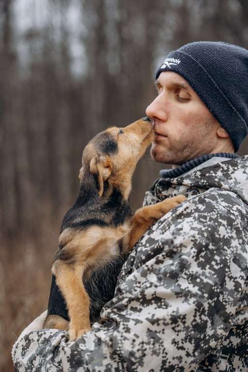 Собаки в Москве: Маленькая девочка из приюта ищет дом! Девочка, Бесплатно - фото 9