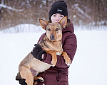 Собаки в Москве: Ушастик в поисках семьи Мальчик, Бесплатно - фото 6