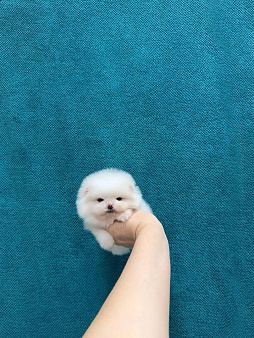 Очаровательный мальчик