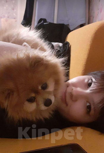 Собаки в Москве: Нора Девочка, Бесплатно - фото 7