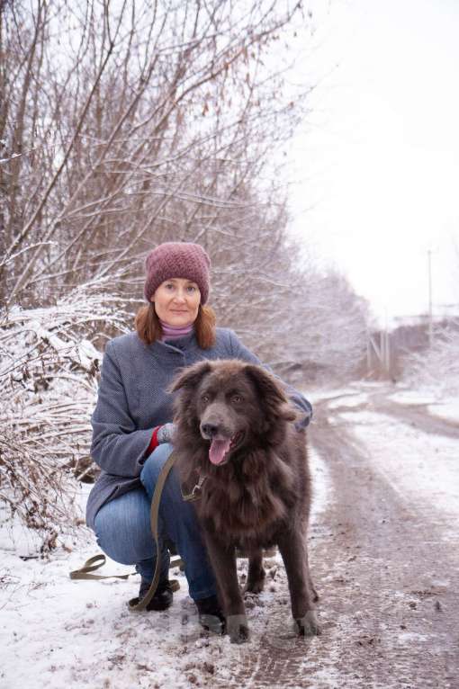 Собаки в Балашихе: Очаровательный Смокки в добрые руки Мальчик, Бесплатно - фото 2