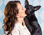 Собаки в Москве: Самый добрый щенок Лазарус — жертва жестокого обращения Мальчик, 1 руб. - фото 1